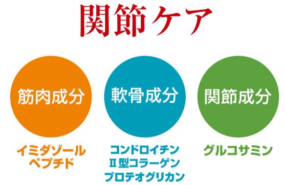 ���u���h�[�����g���o�[�̊֐߉��΍�